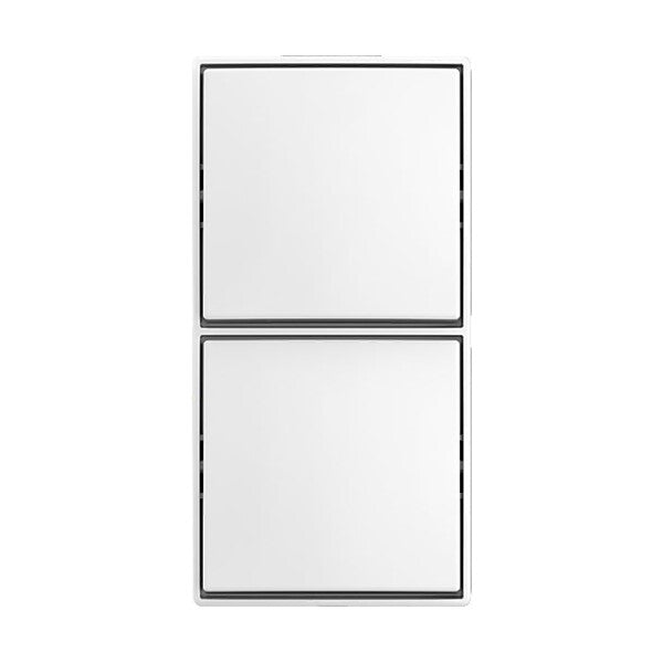 Busch-Jaeger Kombi Schalter/Schalter AP 2601/6/2601/6 APJ524
